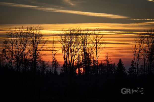 Fotografie grfoto.art